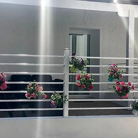 Janas فندق مبيت وإفطار كاستيلساردو